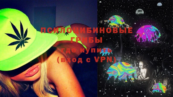 крисы Медногорск