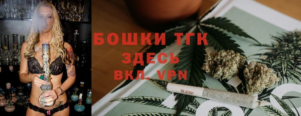 крисы Медногорск