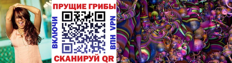 Купить  Зверево  Псилоцибиновые грибы мухоморы 