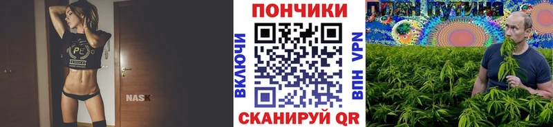 Конопля OG Kush  Купить где  Зверево 