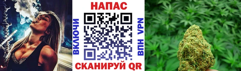 Канабис марихуана Зверево